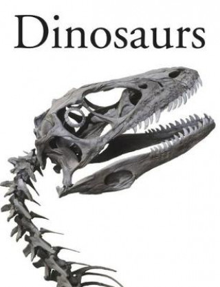 Kniha Dinosaurs 