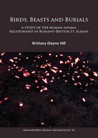 Kniha Birds, Beasts and Burials: A study of the human-animal relationship in Romano-British St. Albans Brittany Elayne Hill