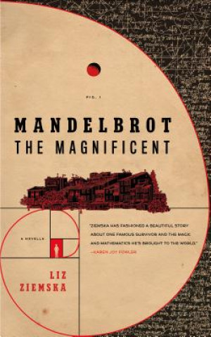 Könyv Mandelbrot the Magnificent Liz Ziemska