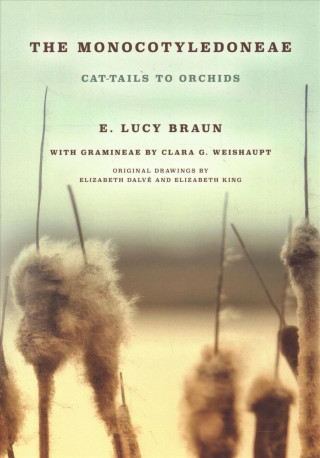 Knjiga MONOCOTLYEDONEAE E. Lucy Braun