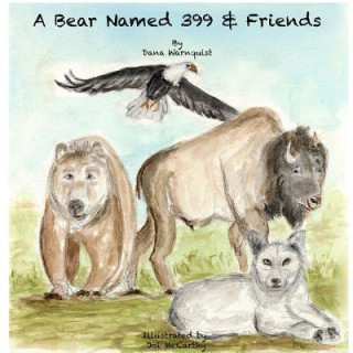 Book Bear Named 399 & Friends Dana Warnquist