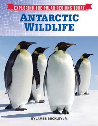 Книга Antarctic Wildlife James Buckley Jr