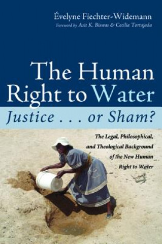 Buch Human Right to Water Evelyne Fiechter-Widemann