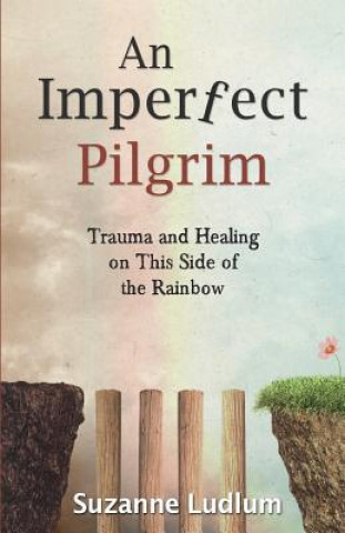 Buch Imperfect Pilgrim Suzanne Ludlum