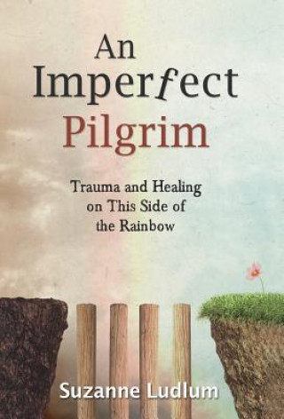 Buch Imperfect Pilgrim Suzanne Ludlum