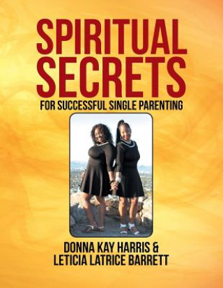 Kniha Spiritual Secrets for Successful Single Parenting Donna Harris