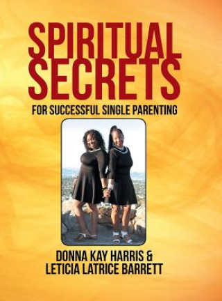 Kniha Spiritual Secrets for Successful Single Parenting Donna Harris