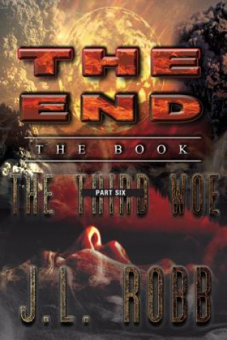 Kniha END THE THIRD WOE/E J. L. Robb