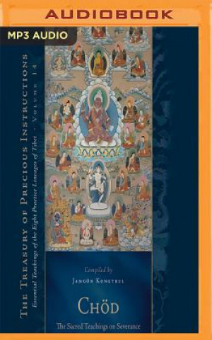 Digital Chod: The Sacred Teachings on Severance: Essential Teachings of the Eight Practice Lineages of Tibet, Volume 14 Jamgon Kongtrul