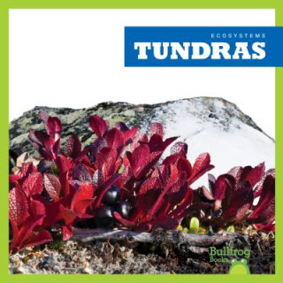Книга Tundras Nadia Higgins