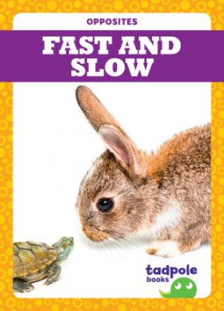 Buch Fast and Slow Erica Donner