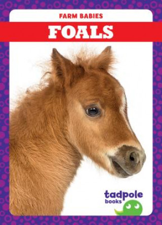 Book Foals Tim Mayerling