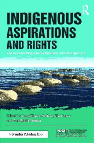 Libro Indigenous Aspirations and Rights Amy Klemm Verbos
