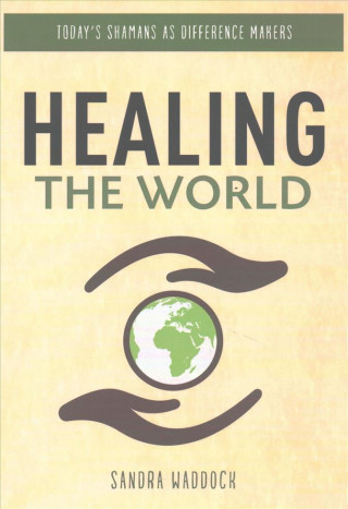 Könyv Healing the World Sandra Waddock