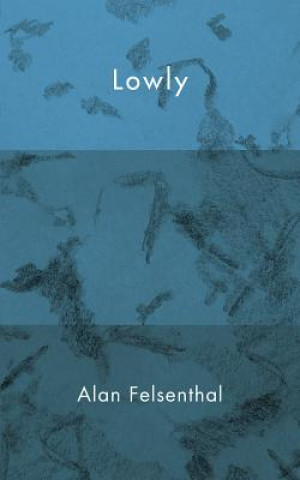 Книга Lowly Alan Felsenthal