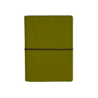 Kniha Ciak Lined Notebook: Lime Discovery Books LLC