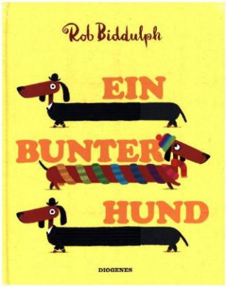Książka Ein bunter Hund Rob Biddulph