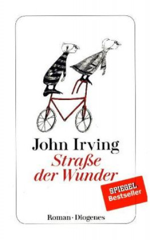 Book Straße der Wunder John Irving