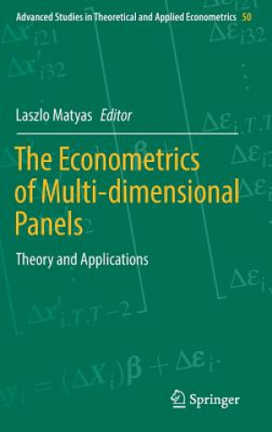 Buch Econometrics of Multi-dimensional Panels Laszlo Matyas