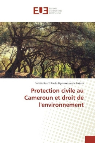 Carte Protection civile au Cameroun et droit de l'environnement Tahitie Ben Tchinda Ngoumela epse Tokam