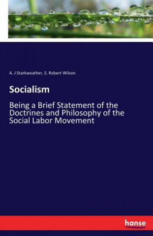 Libro Socialism A. J Starkweather