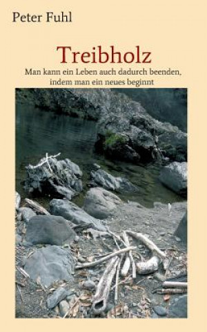 Boek Treibholz Peter Fuhl