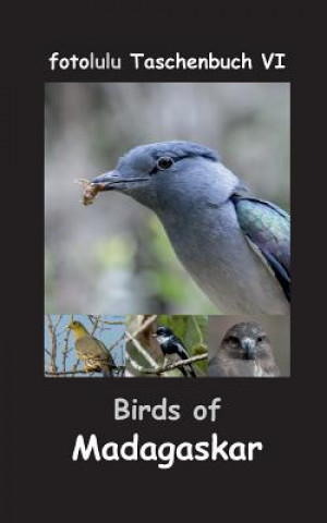 Kniha Birds of Madagaskar Fotolulu