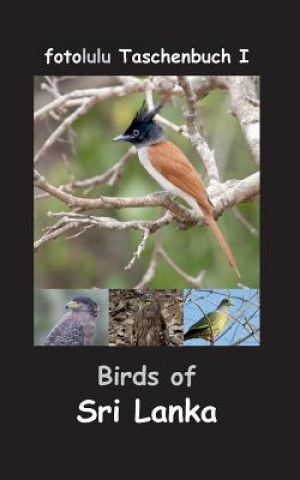 Kniha Birds of Sri Lanka Fotolulu