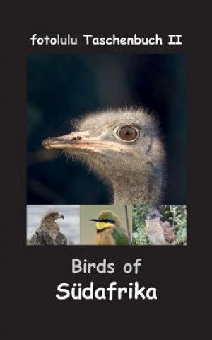 Kniha Birds of Sudafrika Fotolulu