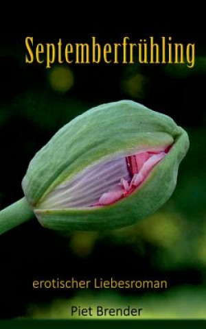 Книга Septemberfruhling Peter Lüke