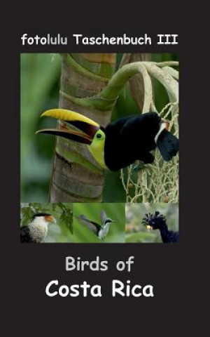 Kniha Birds of Costa Rica Fotolulu
