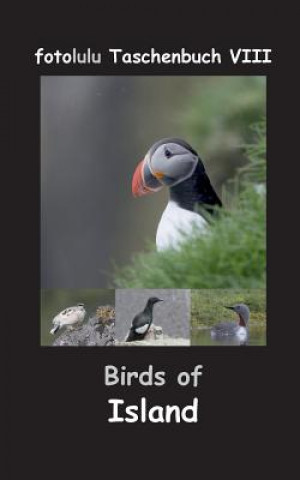 Książka Birds of Island fotolulu