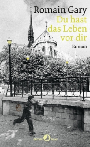 Kniha Du hast das Leben vor Dir Romain Gary
