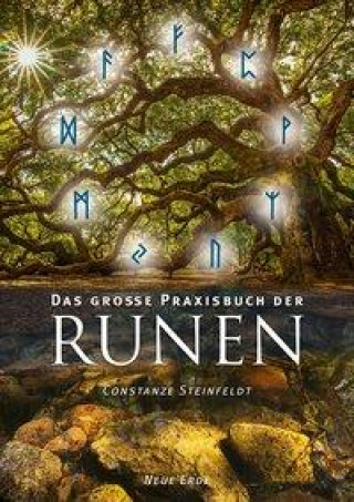 Kniha Das große Praxisbuch der Runen Constanze Steinfeldt