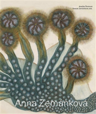 Book Anna Zemánková Anežka Šimková