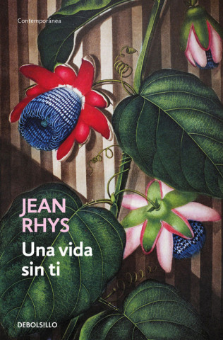 Kniha Una vida sin ti JEAN RHYS