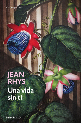 Book Una vida sin ti JEAN RHYS