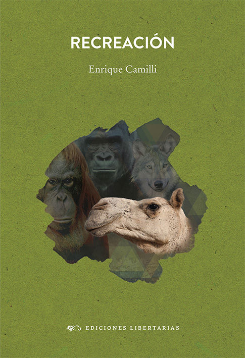 Libro Recreación CAMILLI DESENTIS