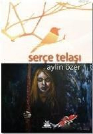 Kniha Serce Telasi Aylin Özeren