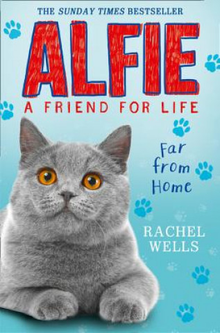 Kniha Alfie Far From Home RACHEL WELLS