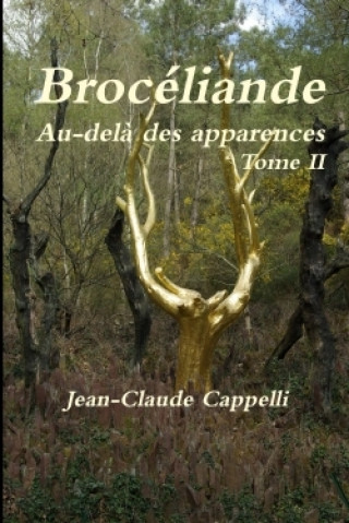 Carte Broceliande Au-Dela Des Apparences Tome II Cappelli Jean-Claude