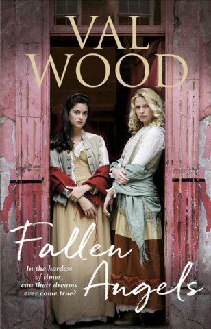 Kniha Fallen Angels Val Wood