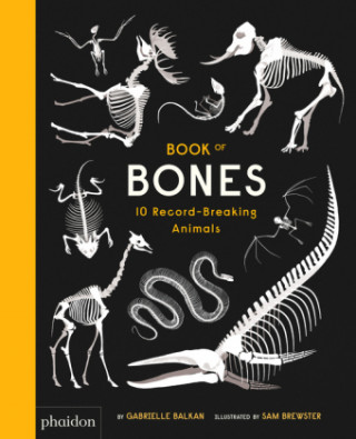 Книга Book of Bones Gabrielle Balkan