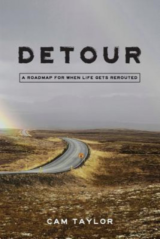 Knjiga Detour Cam Taylor