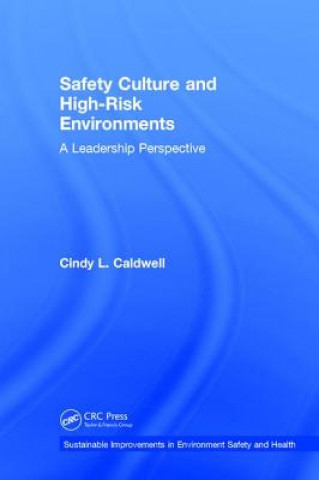 Kniha Safety Culture and High-Risk Environments L. CALDWELL