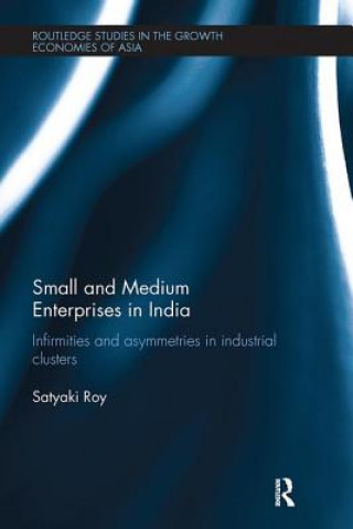 Kniha Small and Medium Enterprises in India Satyaki Roy