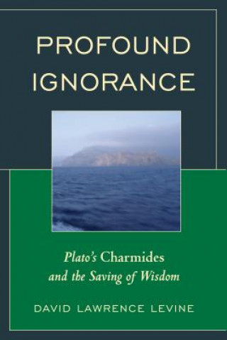 Könyv Profound Ignorance David Lawrence Levine