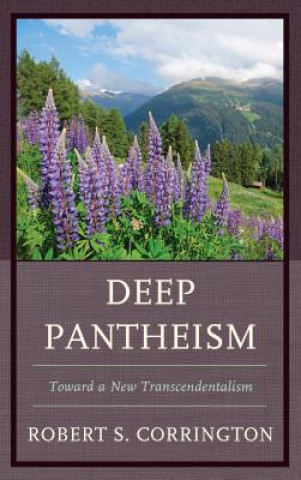 Kniha Deep Pantheism Robert S. Corrington