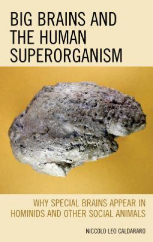 Buch Big Brains and the Human Superorganism Niccolo Leo Caldararo