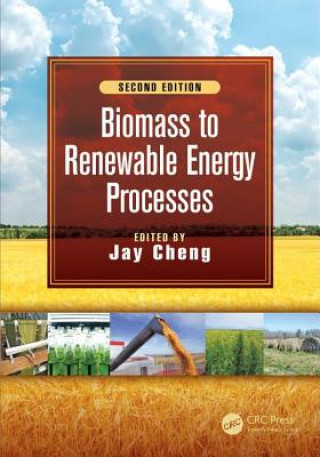 Kniha Biomass to Renewable Energy Processes 